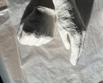 08c9efd6-7f7b-428b-b3c4-90b810236592