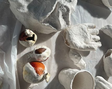 0c3b4a96-abb6-4d26-96a4-b46f05a47b1b