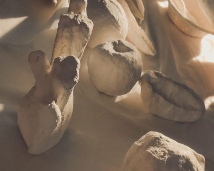 1518ab16-38e0-4393-8883-ce51f986a9e1