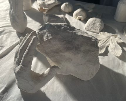 1d6e9396-ef5b-47a2-9b65-d7529cd86a33