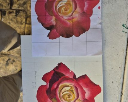 רבקה סביניר