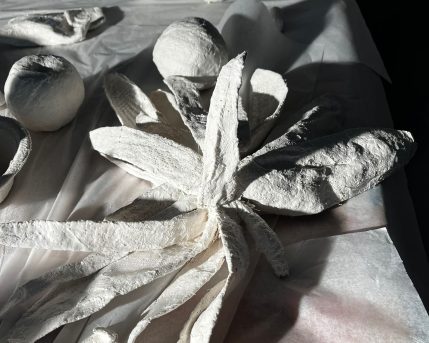 28235959-de82-4455-8af4-9ce8c2149514