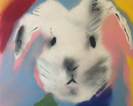 284da0a4-e8bb-45dd-a3db-3f5a318b5e86