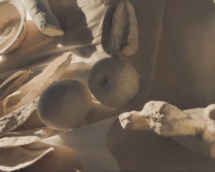 50869af8-8c4a-404e-836a-5f4b995fd636