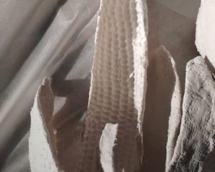 537c8771-b920-41d6-bdc4-317a7dcdf3b3