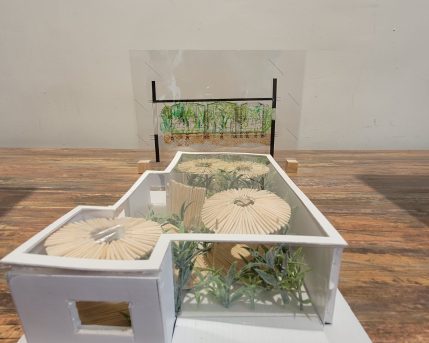 6aeac678-ceb2-41e0-8a14-37a75989b195