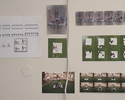 87c9b5aa-c4c7-4653-aeea-cdee4631cb40