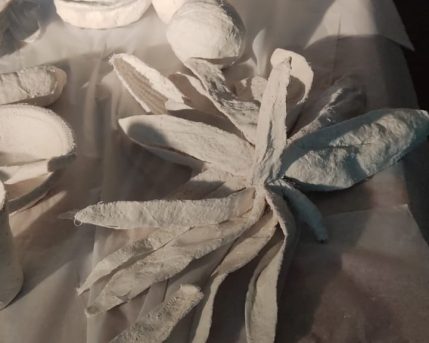 91e92409-ac6a-443c-ae14-45ff3868f3d0