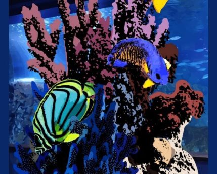 Borders1749160667396