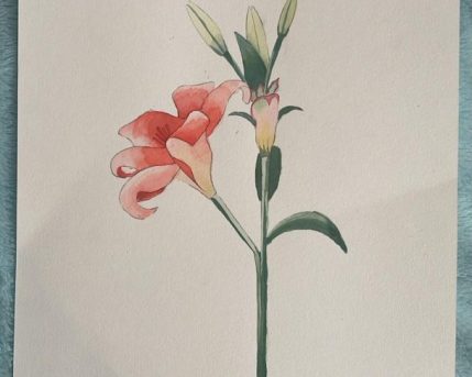 אלכס לזרנקו -בוגר קורס צבעי מים פברואר 2026