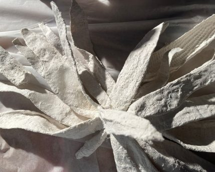 af437bb8-d6da-4c75-ae8f-362c15bb3fed