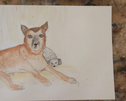 d4b17227-4b5b-413d-99b6-42c85987579d