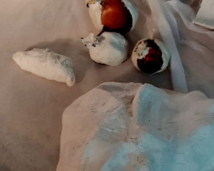 eefffdd2-75a4-4257-9ded-63daa9747497