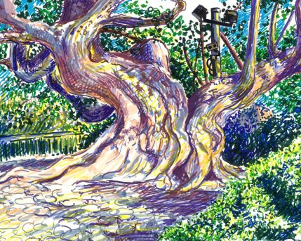 גן יעקב, טושים על 2017 ,21X29 ,נייר