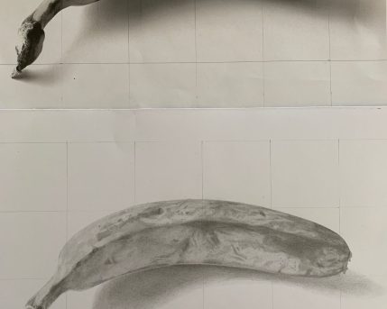 תרגיל רישום רק עם עפרון HB רגיל. למעלה הצילום למטה רישום של הסטודנטית כרמל פונדק מינץ, נובמבר 2022 כרמל