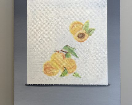 נייר סופג (משמשים), 2021, 40x30 סמ